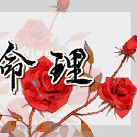 适合医生的八个人物带来华丽，或太极拳