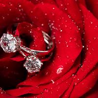 我可以在2022年第二天的第二天发表同一天吗?这是一个快乐吗?