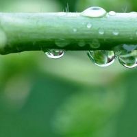 2022男孩出生在雨中,是有才能吗?