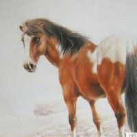 生肖属马2022从事哪些职业最好,属马的人适宜做什么事