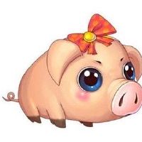 2022年寅年属业务事运