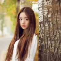 十二生肖更具吸引力