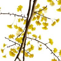 正月初九过生日好吗 上九办事一大堆