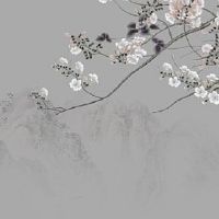 服装定制店名字大全 新潮好听的店铺起名