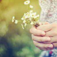 你自己要做什么，你怎么做12个星座？