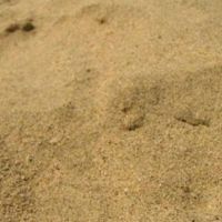 几个月内沙子和地球的沙子的生命是什么？