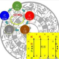 如何解决十二生肖