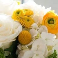 2022年农历三月十一是结婚好日子吗 这天是不是吉日