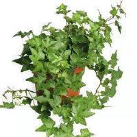 水上水分分析办公室太多了?