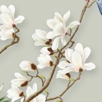 物流公司取名字大全免费 企业起洋气好听的名称