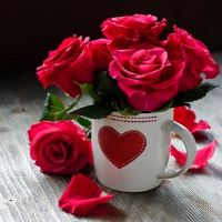 十二生肖女孩,是你的婚姻幸福吗?