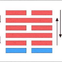 陈述是什么?