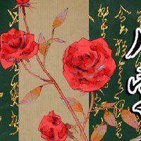 丁酉日壬寅时 富贵双全日主荣贵