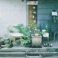 十二个星座最艺术