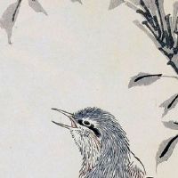 生肖吉凶排行:2022年6月8日特吉生肖运程