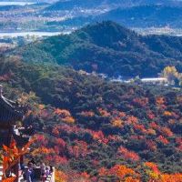 男性男，没有妻子，不好，没有妻子不好。