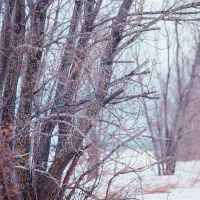 12个星座之间的关系是什么?