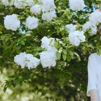 各种变量,四个主要的概念和高冷却的绑定