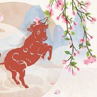 是什么是属的孩子？