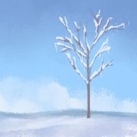 2022年2月15日的节日是什么?