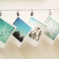 我喜欢其他没有什么可寻找的星座。