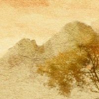 梦见的泪水真的醒来,展示了什么