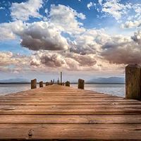 2022年龄年份一度一六