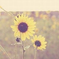 一个人感觉寂寞？这些星座最适合朋友