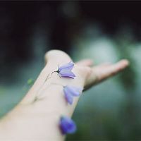 面对渣打男人的决定性星座