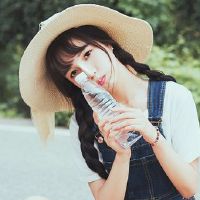 和十二颗星，我无法触及这些地方。