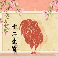 2022年春节春节的Zods是什么？