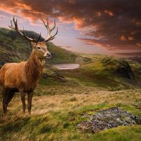 算上那些吹嘘没有税的Zod