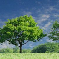 冯水是否看到社区中的高压电动房屋关闭?