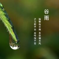 十二生肖的人是牛的山谷山谷。