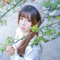 我不能把十二生肖库存