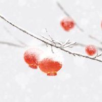 腊月廿三小年吃什么 阖家团圆连年有余