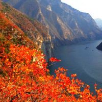 最内向的十二生肖女孩里有多少钱