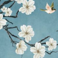 人中有痣好吗 人中有十字纹意志力坚定