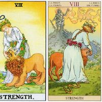 Wettaro权力对判断的启示