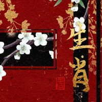 12黄道带新年前夜八玩麻将点询问坐在哪里赢得胜利