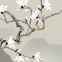 2022年4月3日出生的属虎女宝宝取名 女孩名字高雅独特