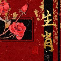 灯笼节是最好的？ 2022号