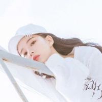 不要问我，但要求没有十二生肖