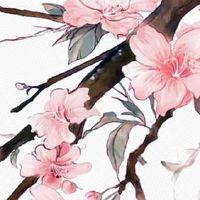 2022年4月6日出生女宝宝怎么起名好 洋气好听的女孩取名