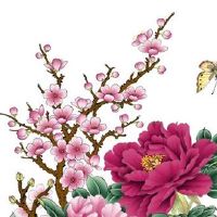 本命年一定会不顺吗 本命年破解法