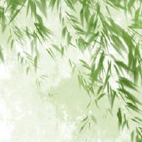 第一个月的第一个月,金宝南罗市