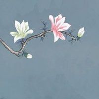 注册一个公司什么名字最吉祥 企业取名新秀大气