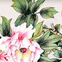 一只手断掌的女人命好吗 女人左断掌父母缘薄