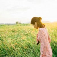 三个主要的Zods谁能做出最多的信用