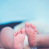 老虎女孩的名字,一个简单的慷慨外国,于2022年12月出生